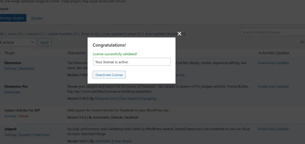 Elementor Pro 100% Original License from official site [Auto Update] - Image 4